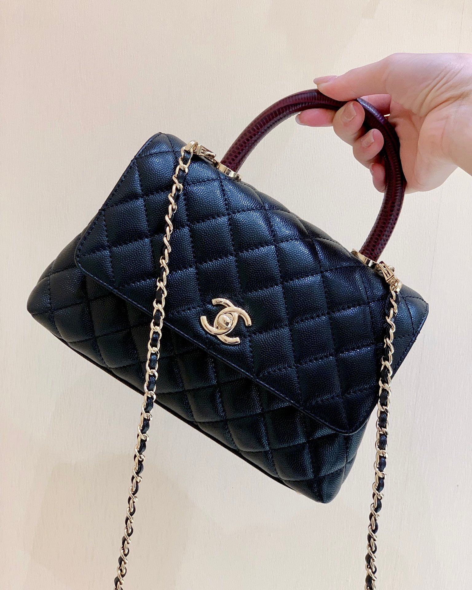 Coco Top Handle