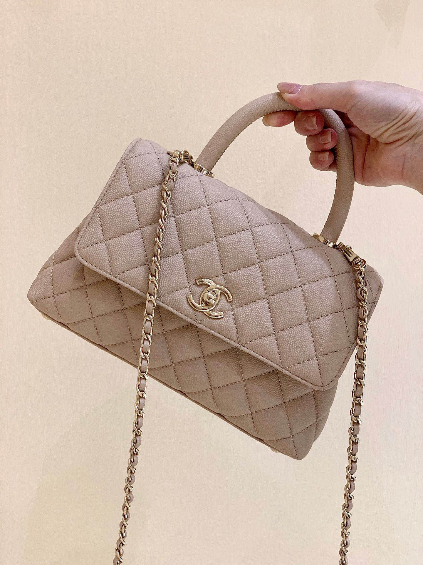 Coco Top Handle